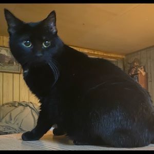 Meet your Posher, Catherine